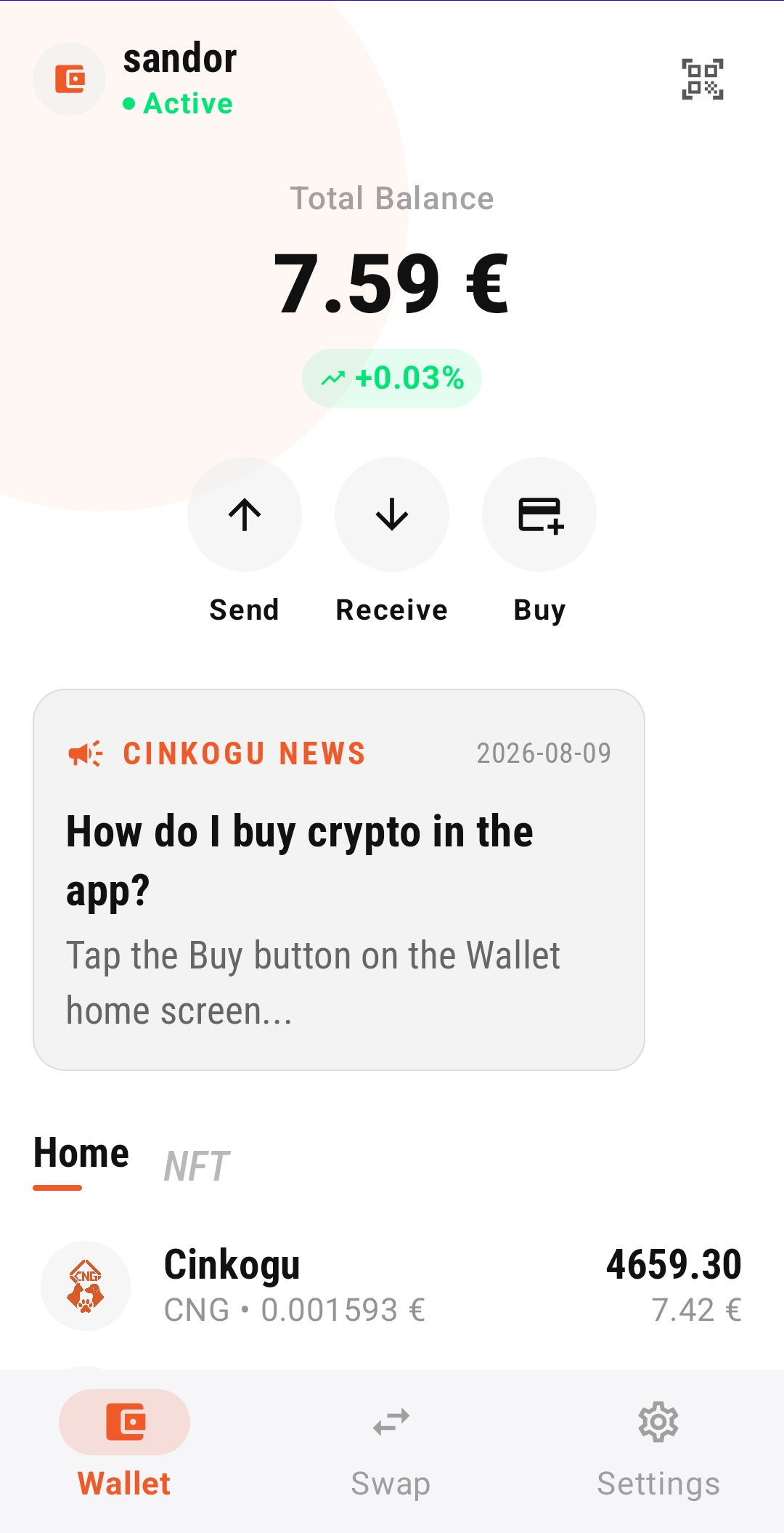 Cinkogu Wallet — Home screenshot placeholder